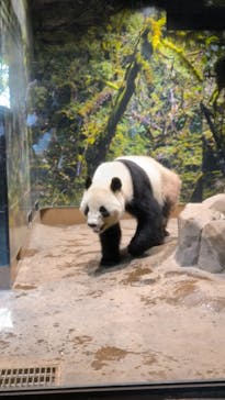 恩賜上野動物園に投稿された画像（2026/1/25）