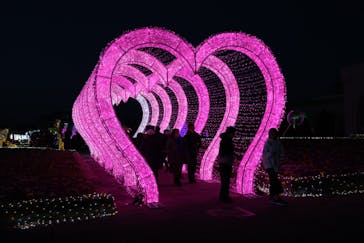 神戸イルミナージュに投稿された画像（2026/1/25）