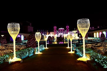 神戸イルミナージュに投稿された画像（2026/1/25）