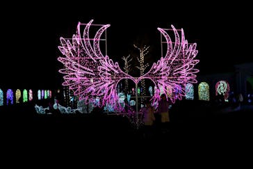 神戸イルミナージュに投稿された画像（2026/1/25）