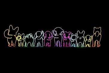 神戸イルミナージュに投稿された画像（2026/1/25）