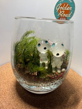 Golden Road ATAMI（ゴールデンロードアタミ）に投稿された画像（2026/1/25）