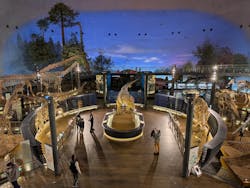 福井県立恐竜博物館に投稿された画像（2026/1/25）