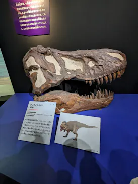 特別展「大絶滅展―生命史のビッグファイブ」に投稿された画像（2026/1/25）