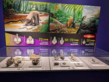 特別展「大絶滅展―生命史のビッグファイブ」に投稿された画像（2026/1/25）