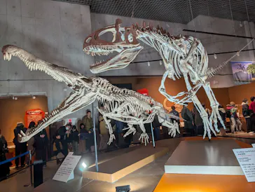 特別展「大絶滅展―生命史のビッグファイブ」に投稿された画像（2026/1/25）