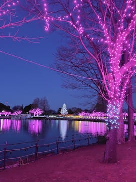 東武動物公園に投稿された画像（2026/1/25）