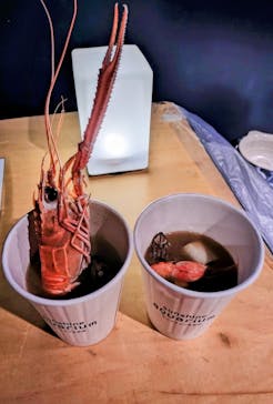 サンシャイン水族館に投稿された画像（2026/1/25）