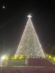 レオマリゾートに投稿された画像（2026/1/25）