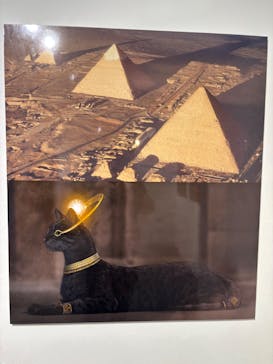 IMMERSIVE JOURNEY 名古屋に投稿された画像（2026/1/25）