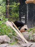 恩賜上野動物園に投稿された画像（2026/1/25）