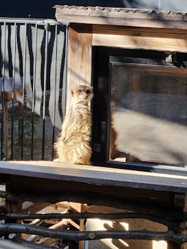 恩賜上野動物園に投稿された画像（2026/1/25）