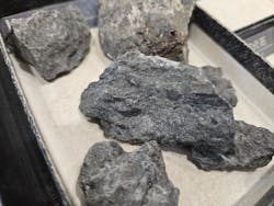 福井県立恐竜博物館に投稿された画像（2026/1/25）