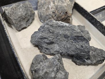 福井県立恐竜博物館に投稿された画像（2026/1/25）