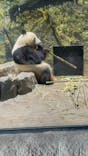 恩賜上野動物園に投稿された画像（2026/1/25）
