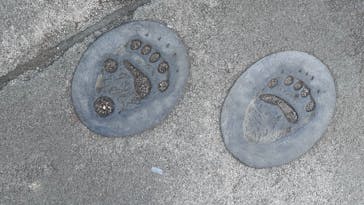 恩賜上野動物園に投稿された画像（2026/1/25）