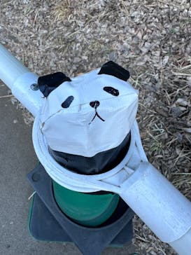 恩賜上野動物園に投稿された画像（2026/1/25）