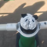 恩賜上野動物園に投稿された画像（2026/1/25）