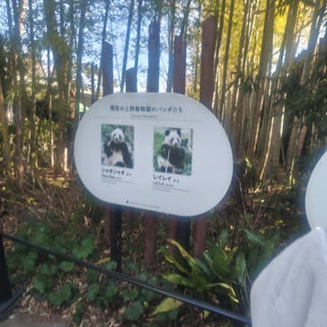 恩賜上野動物園に投稿された画像（2026/1/25）