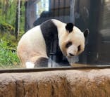 恩賜上野動物園に投稿された画像（2026/1/25）