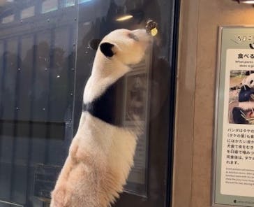 恩賜上野動物園に投稿された画像（2026/1/25）