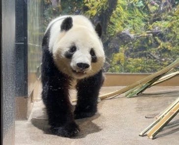 恩賜上野動物園に投稿された画像（2026/1/25）