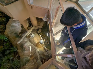 日立市かみね動物園に投稿された画像（2026/1/25）