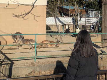 日立市かみね動物園に投稿された画像（2026/1/25）