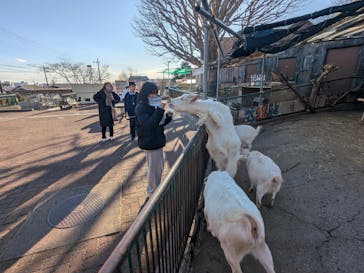 日立市かみね動物園に投稿された画像（2026/1/25）