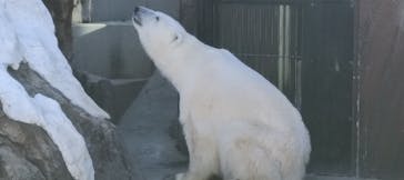 恩賜上野動物園に投稿された画像（2026/1/25）