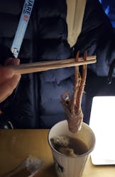 サンシャイン水族館に投稿された画像（2026/1/25）