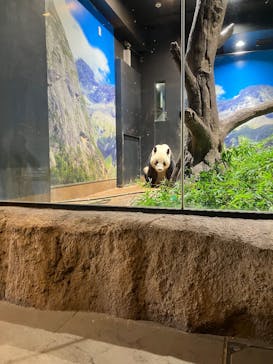 恩賜上野動物園に投稿された画像（2026/1/25）