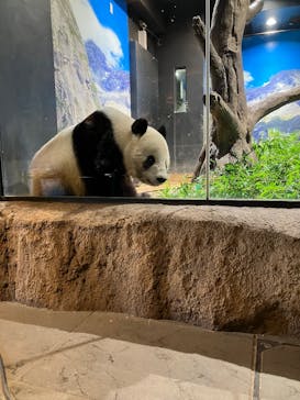 恩賜上野動物園に投稿された画像（2026/1/25）