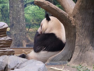 恩賜上野動物園に投稿された画像（2026/1/25）