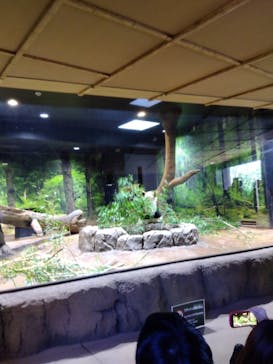 恩賜上野動物園に投稿された画像（2026/1/25）