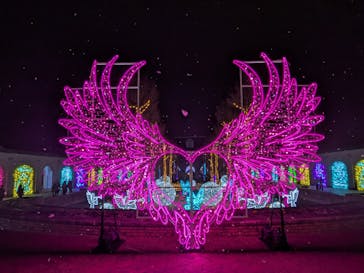 神戸イルミナージュに投稿された画像（2026/1/25）