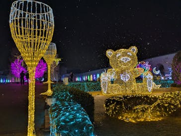 神戸イルミナージュに投稿された画像（2026/1/25）