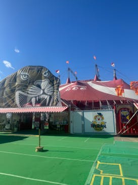 木下大サーカス立川公演に投稿された画像（2026/1/25）