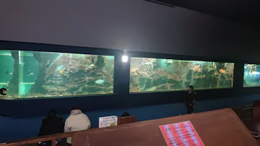 ゼロ距離水族館 伊勢シーパラダイスに投稿された画像（2026/1/25）