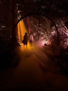 京都府立植物園　LIGHT CYCLES KYOTOに投稿された画像（2026/1/25）