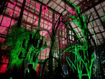 京都府立植物園　LIGHT CYCLES KYOTOに投稿された画像（2026/1/25）