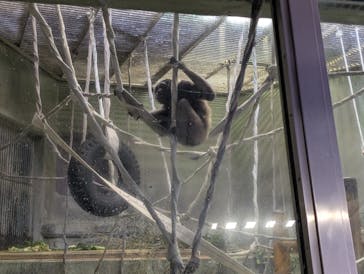 名古屋市東山動植物園に投稿された画像（2026/1/25）