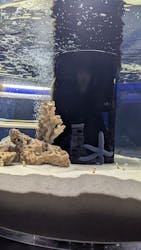 シン・マリホ水族館に投稿された画像（2026/1/25）