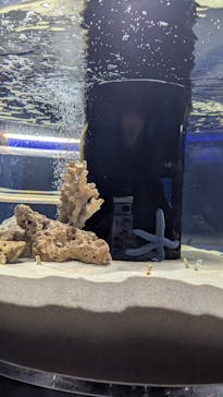 シン・マリホ水族館に投稿された画像（2026/1/25）