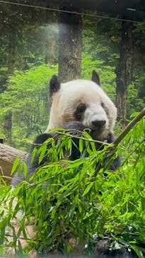 恩賜上野動物園に投稿された画像（2026/1/25）