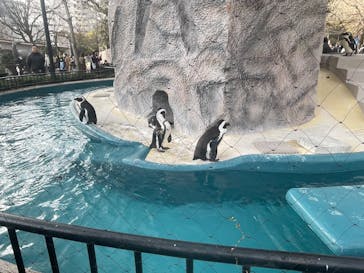 恩賜上野動物園に投稿された画像（2026/1/25）