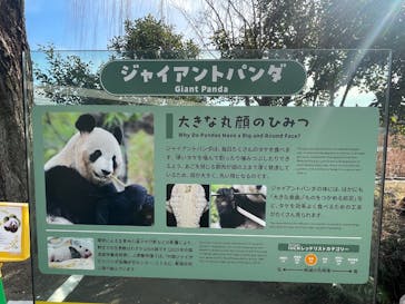 恩賜上野動物園に投稿された画像（2026/1/25）