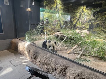 恩賜上野動物園に投稿された画像（2026/1/25）