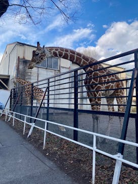 宇都宮動物園に投稿された画像（2026/1/25）