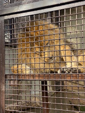 宇都宮動物園に投稿された画像（2026/1/25）
